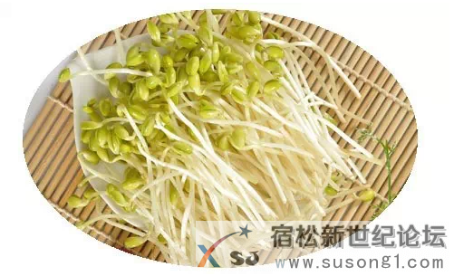 史上最毒的蔬菜，马上告诉身边人吧宿松新世纪论坛