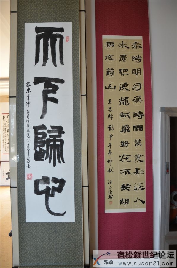 宿松新世纪论坛