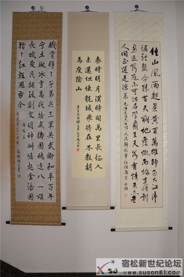 宿松新世纪论坛