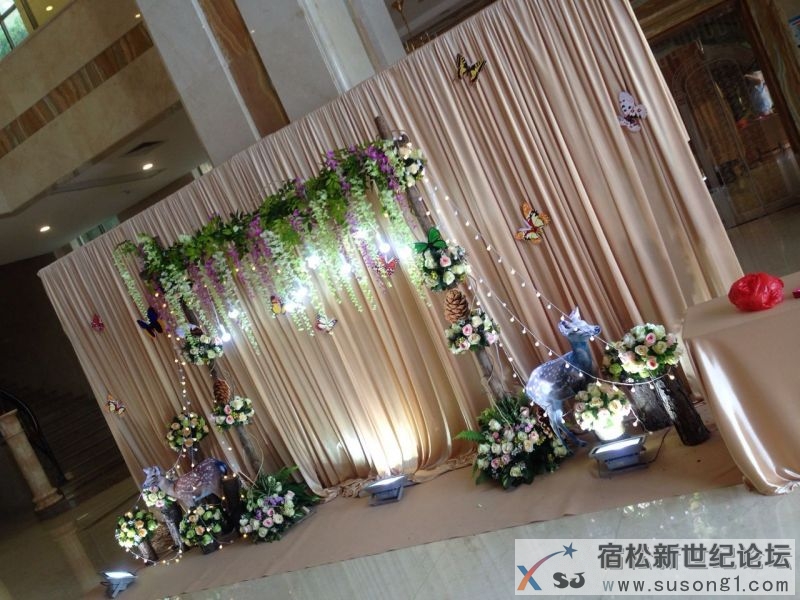 宿松花艺轩婚礼策划馆十一定单订购中宿松新世纪论坛