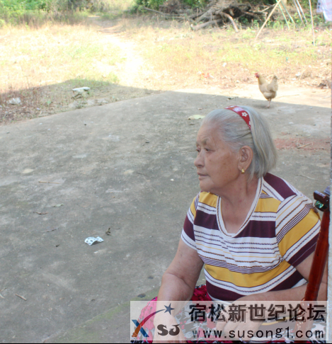 宿松新世纪论坛