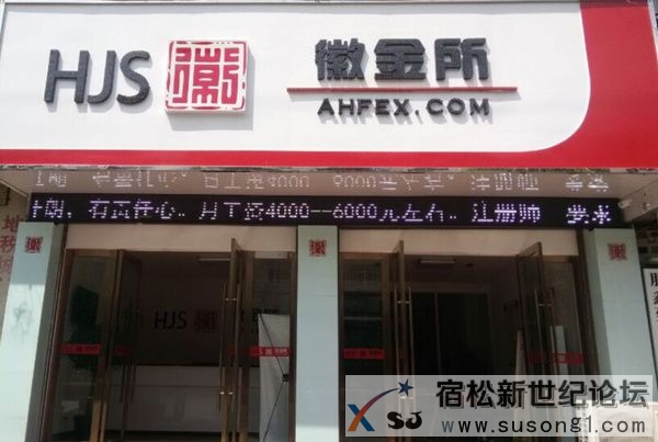 徽金所战略发展迈向新高度 宿松分公司正式开业宿松新世纪论坛