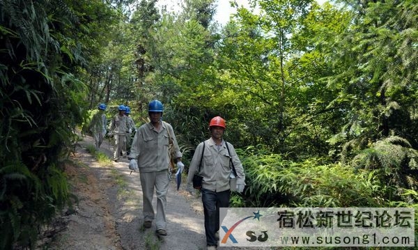 高温烤验下，宿松的电力“汗子”们宿松新世纪论坛