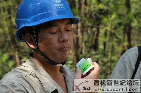 高温烤验下，宿松的电力“汗子”们宿松新世纪论坛