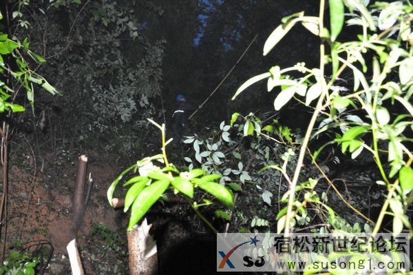 高温烤验下，宿松的电力“汗子”们宿松新世纪论坛