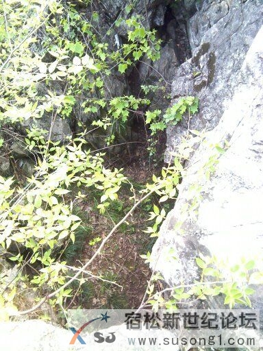 宿松罗汉山风景区蝙蝠洞。宿松新世纪论坛
