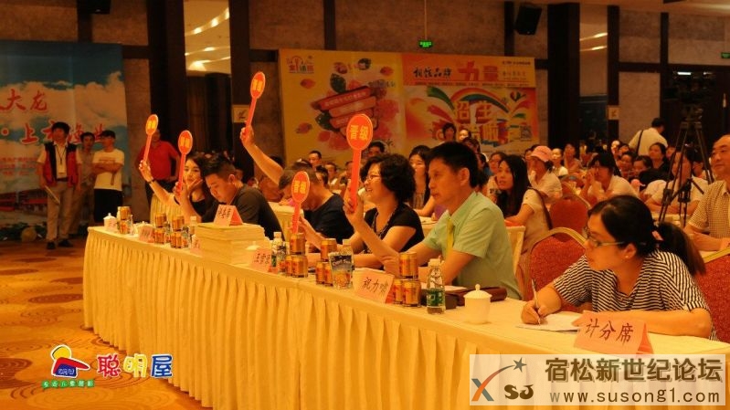 大龙杯少儿才艺大赛宿松赛区初赛现场剪影宿松新世纪论坛