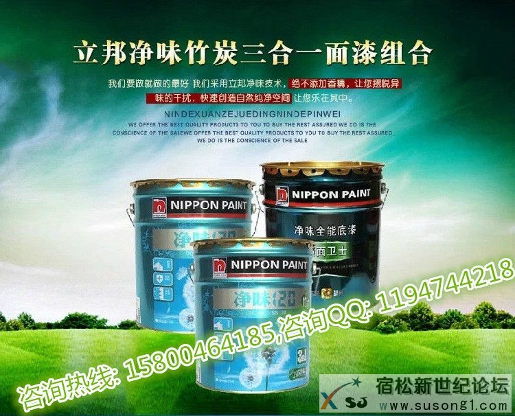 立邦净味120竹炭三合一报价多少，立邦净味120硅藻土抗甲醛全效内墙漆价格宿松新世纪论坛