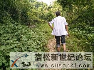 下乡防台风有感宿松新世纪论坛