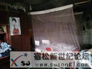 下乡防台风有感宿松新世纪论坛