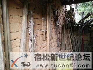 下乡防台风有感宿松新世纪论坛