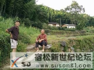 下乡防台风有感宿松新世纪论坛