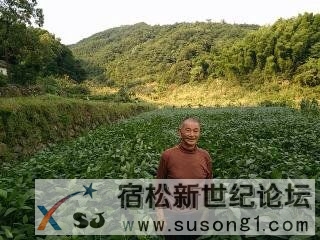 下乡防台风有感宿松新世纪论坛