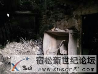下乡防台风有感宿松新世纪论坛
