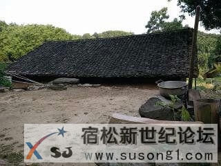 下乡防台风有感宿松新世纪论坛