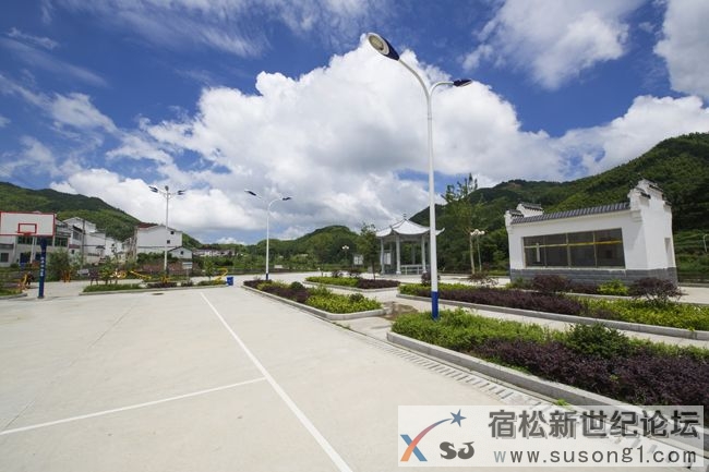 宿松县柳坪乡：大山深处绽新颜宿松新世纪论坛