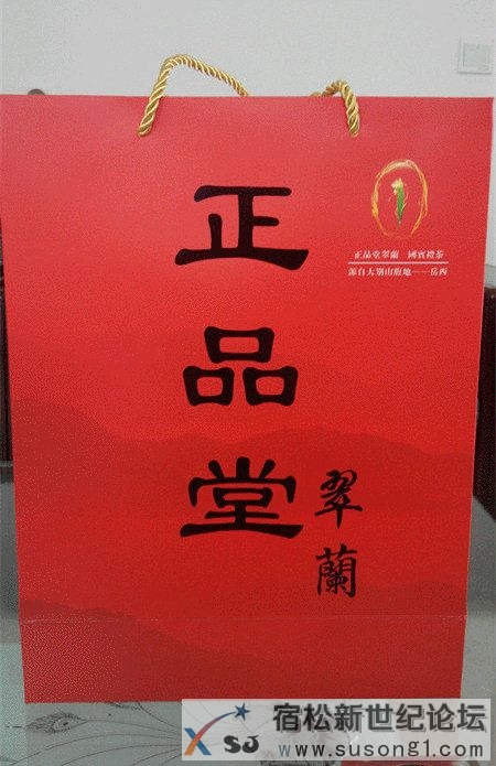 品一杯绿茶，清凉一整夏宿松新世纪论坛