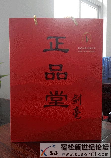 品一杯绿茶，清凉一整夏宿松新世纪论坛