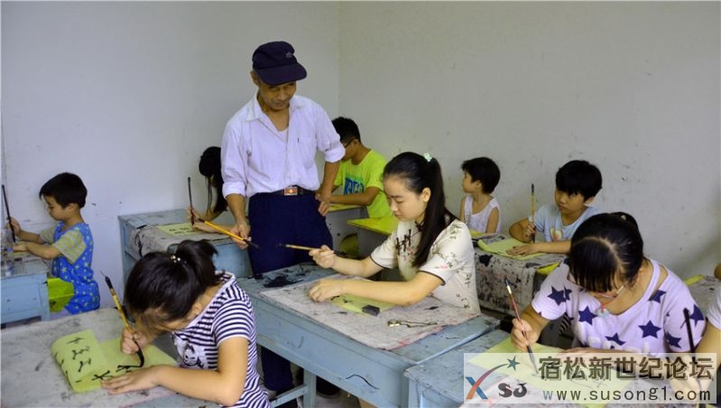 暑期宿松掀起国学热潮宿松新世纪论坛