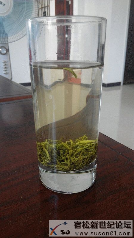 宿松新世纪论坛