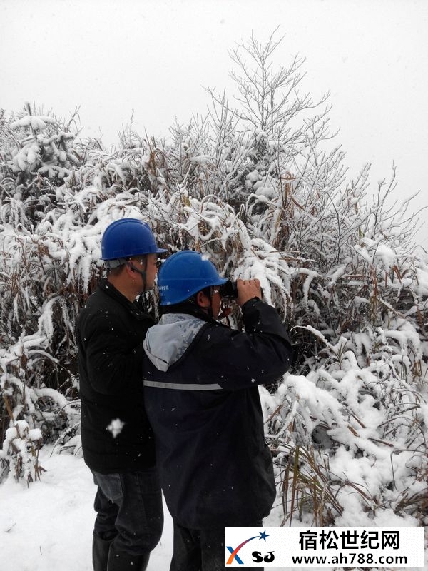 组图：我县突降大雪，县供电公司特巡保安全宿松新世纪论坛