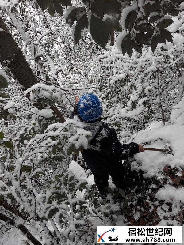 组图：我县突降大雪，县供电公司特巡保安全宿松新世纪论坛