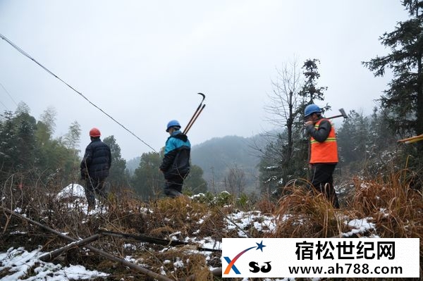 组图：我县突降大雪，县供电公司特巡保安全宿松新世纪论坛