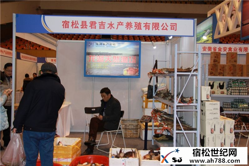 助推宿松企业：宿松受邀参加2016安庆市绿色有机农产品(合肥)年货展销会宿松新世纪论坛