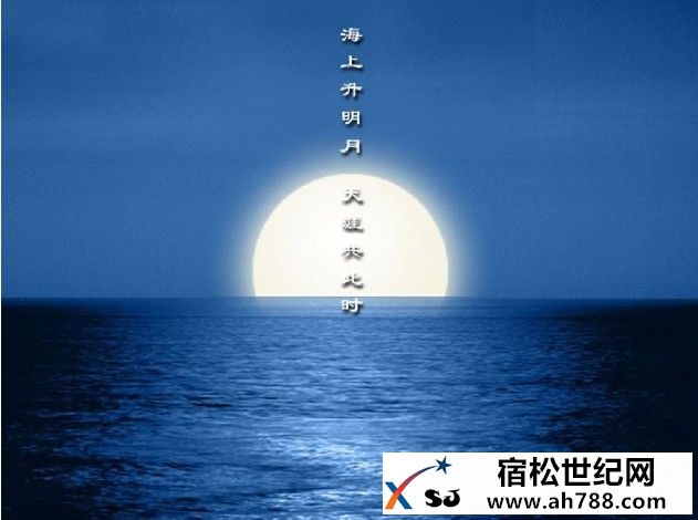 游子心声宿松新世纪论坛