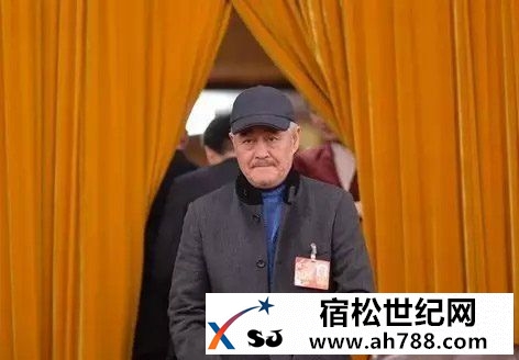 赵本山除了辽宁曲协副主席 还有哪16个头衔？宿松新世纪论坛