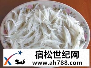 宿松银鱼宿松新世纪论坛