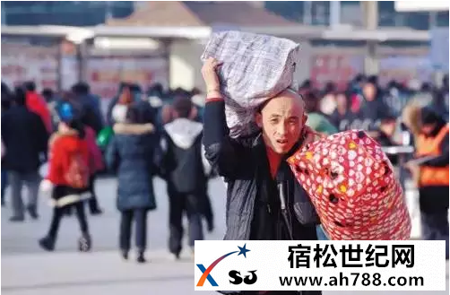 回家宿松新世纪论坛