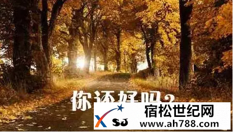 回家宿松新世纪论坛