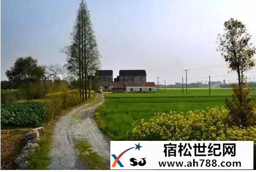 回家宿松新世纪论坛