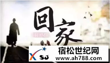 回家宿松新世纪论坛