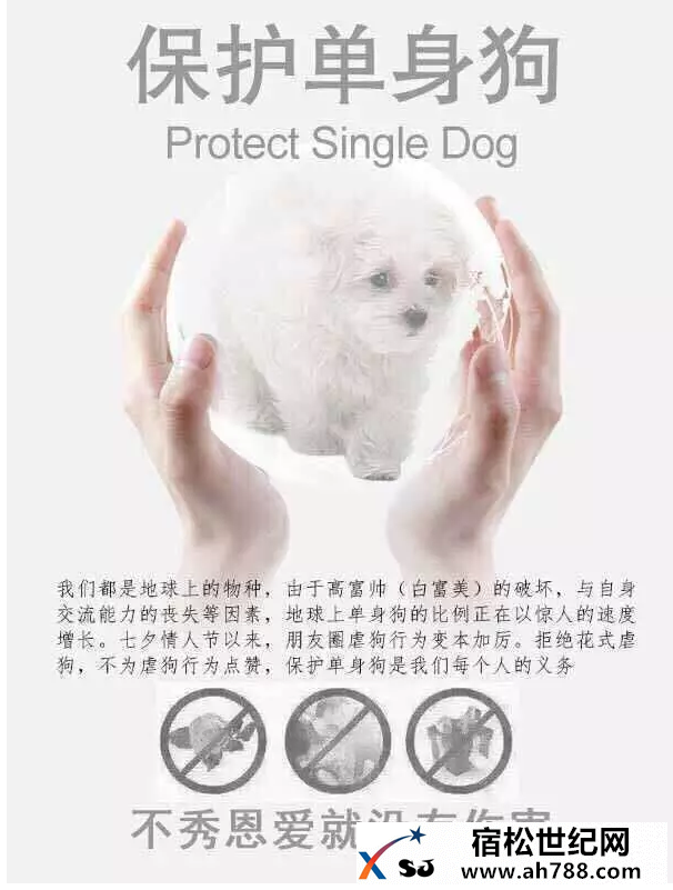 过年随想宿松世纪网