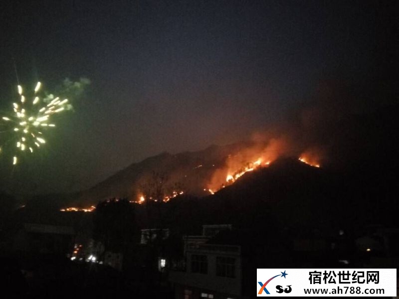宿松：乡镇专职消防队春节期间灭火233起宿松世纪网