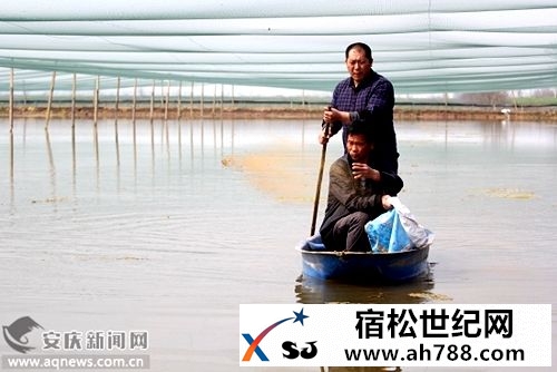 f9d91ebc0a1187csize134_w500_h334.jpg