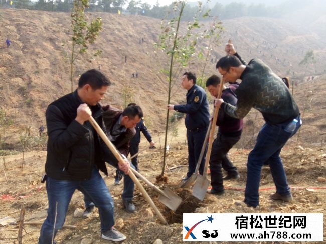 宿松公路分局组织职工参加全县义务植树活动.jpg