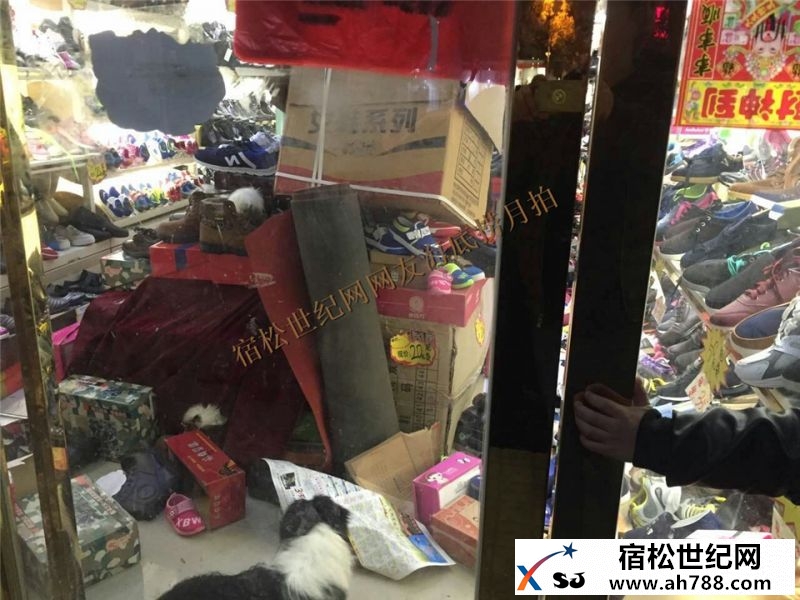 宿松街头小偷嫌疑人不要命，行事后摔伤腿03.jpg
