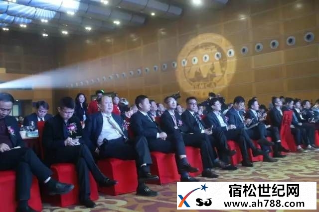 宿松喜讯！赛博宇华亮相手机产业年会再获两项殊荣00001.jpg