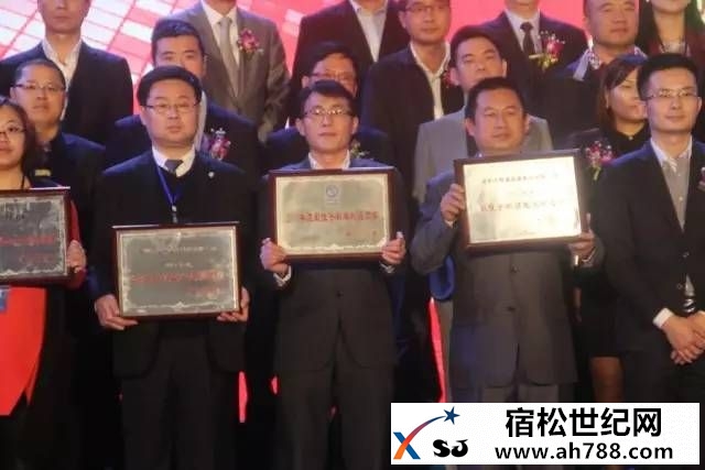 宿松喜讯！赛博宇华亮相手机产业年会再获两项殊荣00007.jpg