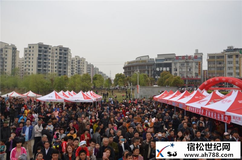 宿松县福彩大卖场暨福彩公益行走进宿松，宿松县新世纪论坛公益协会40.jpg