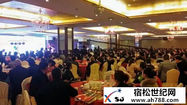 松梓基金会华中世贸城，宿松新世纪论坛公益协会 (1).jpg