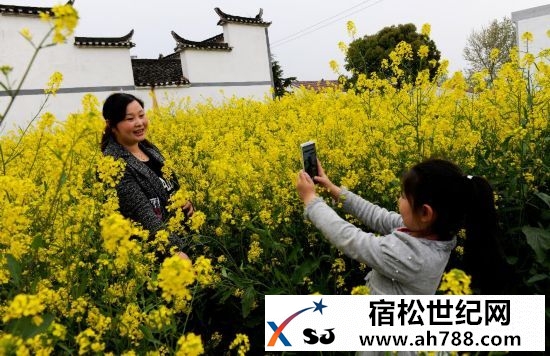 宿松：在村庄整治过程中引导村民复垦旧宅基地.jpg