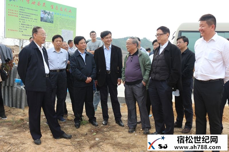 安徽省人大常委会原主任孟富林一行来宿松考察木本油料产业发展.jpg