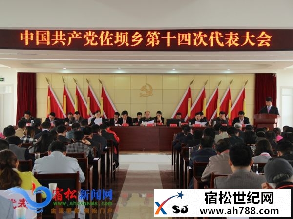 中国共产党佐坝乡第十四次代表大会召开.jpg