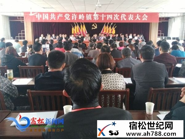 中国共产党许岭镇第十四次代表大会召开.jpg