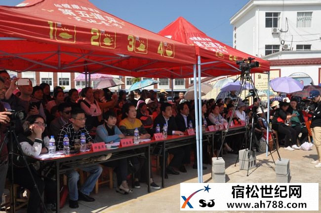 宿松东乡泊湖文化区域举行广场舞电视大赛预赛.jpg