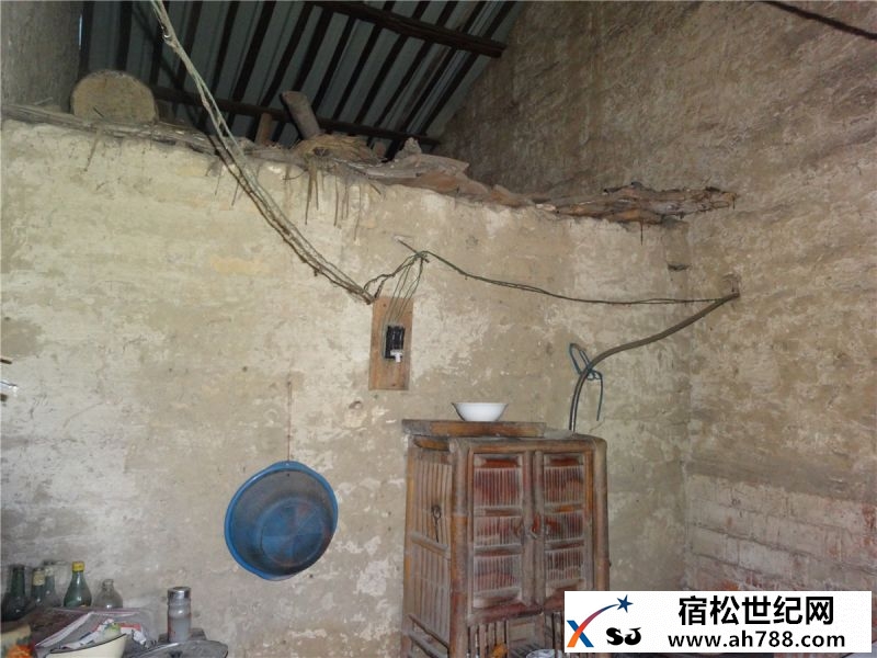 DSC02015.jpg